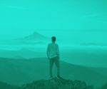 Duotone deep green light green